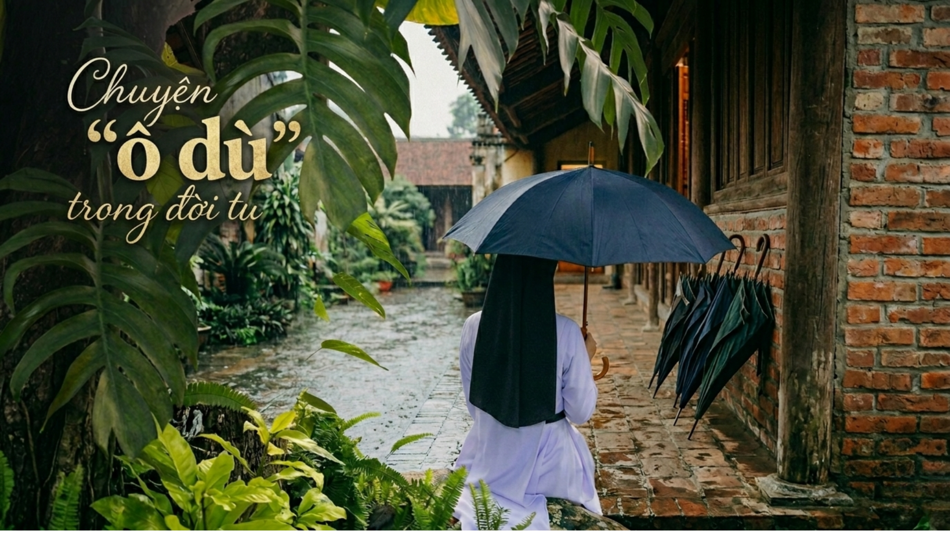 Chuyện "ô dù" trong đời tu
